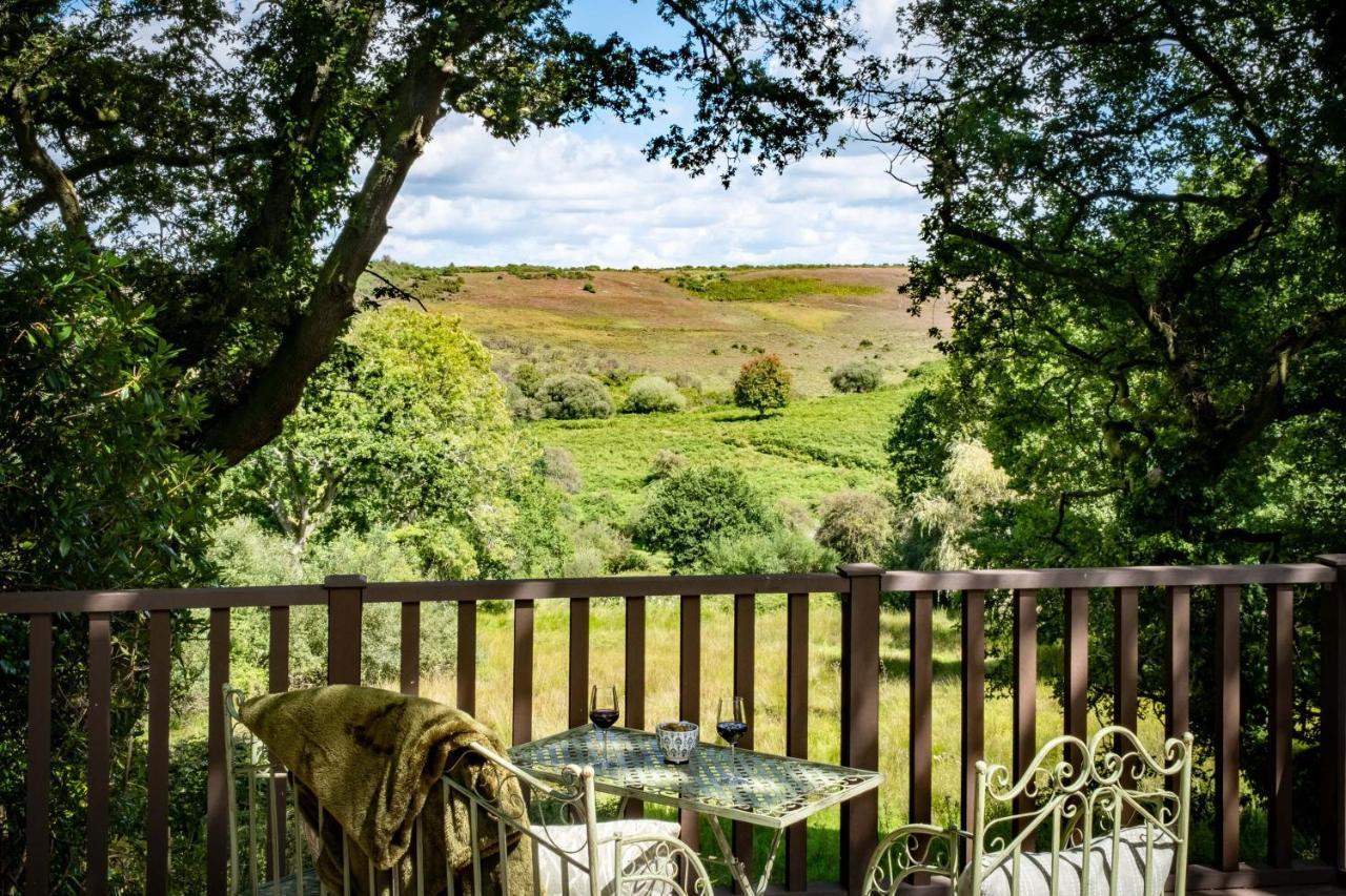 The Lookout Fritham