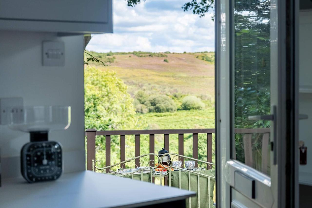 The Lookout Fritham
