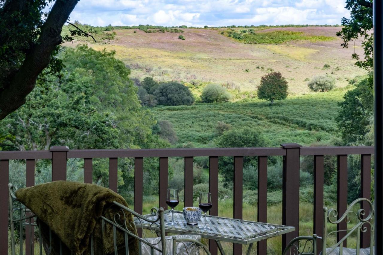 The Lookout *